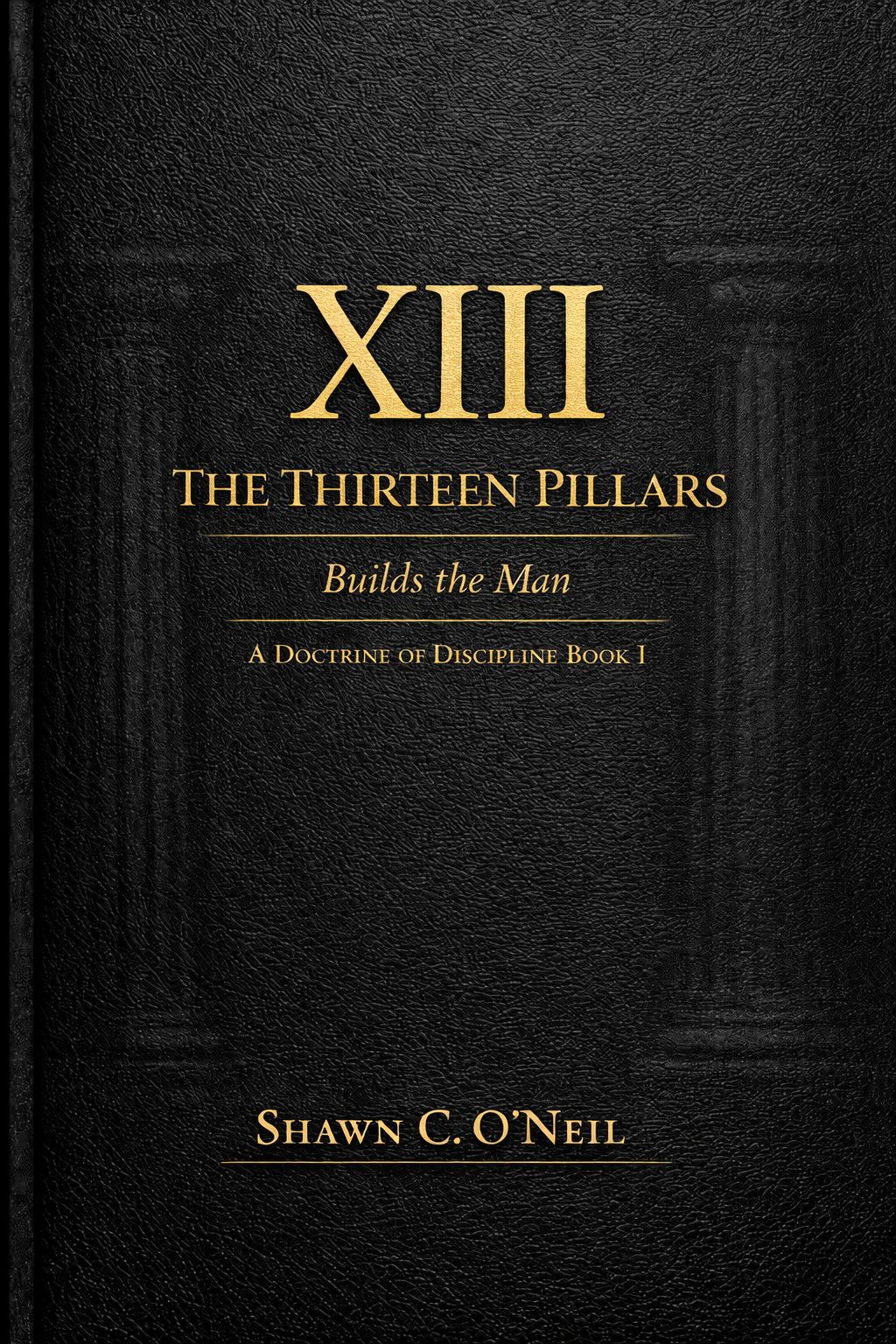The Doctrine of Discipline: The XIII Pillars — eBook